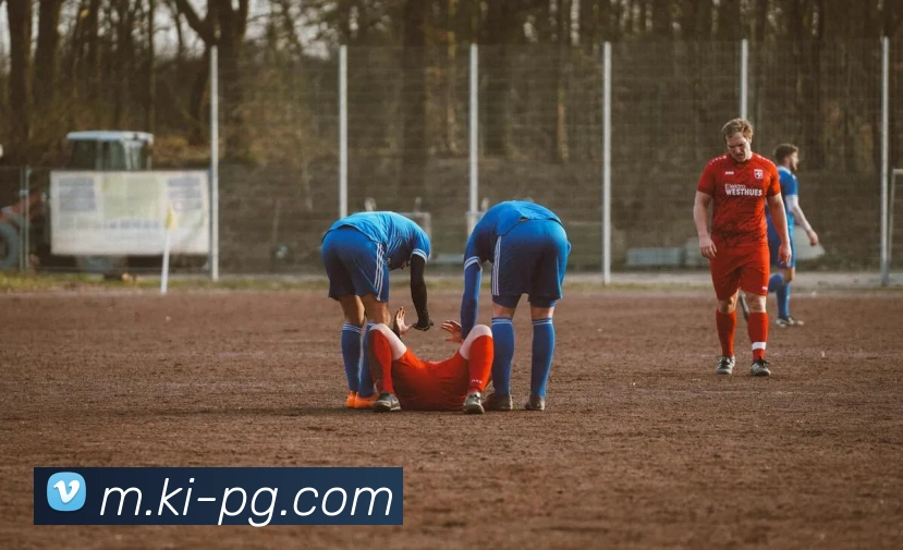 App Interface Preview